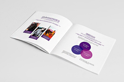 安娜品牌形象色彩畫冊設計 - 深圳市頂點企業形象策劃專業設計服務